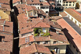 Fototapeta Krajobraz - Lukka ogród na dachu stary pejzaż miejski na dachu Toskania Włochy