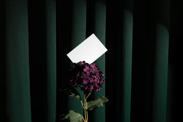 Wall Mural - Blank business cards mockup template on a green fabric curtains background, in a velvet flower. Real photo, the isolated surface to place your design. 