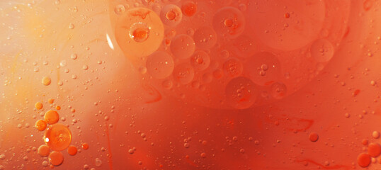 Wall Mural - Gold and red Oil bubbles close up. circles of orange and pink water macro. abstract shiny background