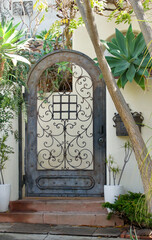 Wall Mural - decorative arched metal gate leading to the garden