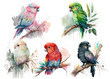 Safari Animal set parrots of different colors on a branch in watercolor style. Isolated vector illustration
