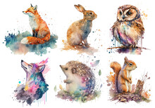 Safari Animal Set Hare, Wolf, Fox, Hedgehog, Owl, Squirrel In Watercolor Style. Isolated Vector Illustration