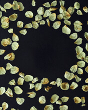 Scattered White Dried White Rose Petals In A Circle On A Black Background