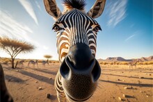  A Zebra Is Looking At The Camera With A Sky Background And Some Trees In The Background With A Few Clouds In The Sky Above It And A Few Zebras In The Foreground,.  Generative