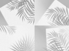 Palm Shadow Background Overlay On Transparent, Vector Set. Summer Tropical Plant Leaf Shade And Window Light Realistic Mockup. Foliage Background With Shadow Overlay Effect Of Beach Palm Tree Branches