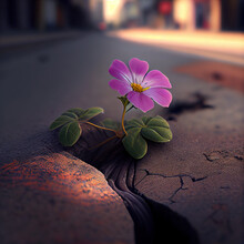 Flower Growing On Crack Street. Generative Ai