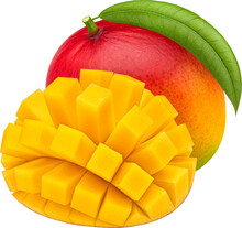 Mango Fruit Isolated