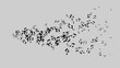 © CESM I Studio - Musical notes isolated on white background. Music.