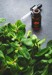 Wall Mural - Essential oil of mint or peppermint in small brown bottles with fresh green plant, black background, top view