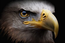Majestic Bald Eagle With See-through Eyes. Generative AI