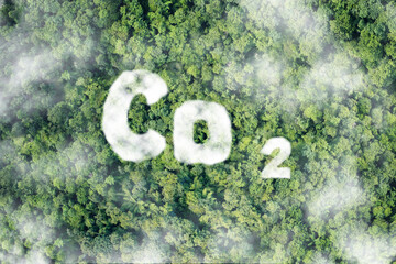 Wall Mural - co2 clouds. oxygen o2 and carbon dioxide co2 molecules - carbon dioxide absorption and oxygen releas