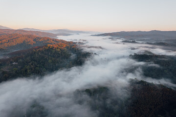 Wall Mural - fog and morning light