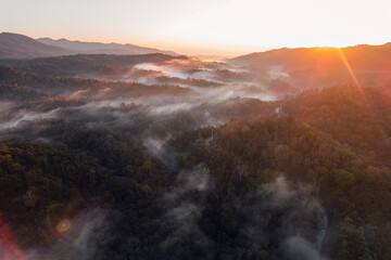 Wall Mural - fog and morning light