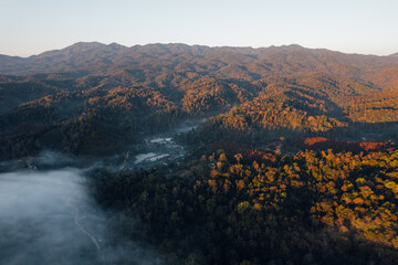 Wall Mural - fog and morning light