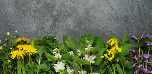 Canvas Print - Edible plants and flowers on a dark background.