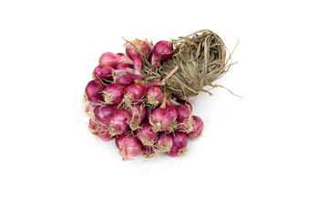 Wall Mural - Red shallots isolated on white background.
