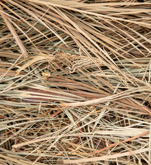 Sticker - Dry palm leaves as a background