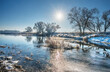 © Lutz - Winter am Flußufer ( Elbe)