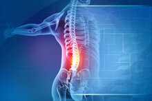Pain In The Spine, Pain In The Back, Highlighted In Red, X-ray View. 3d Illustration