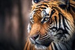 photograph with a narrow depth of field depicting a tiger. Generative AI