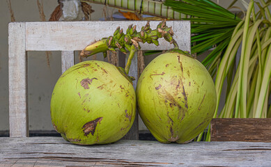 Two young green coconuts on a white washed table