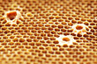 © sakhorn38 - honeycomb propolis