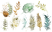Minimalist Style Of Hand Drawn Plants. Vector Plants And Grasses In Gold Style With Gloss Effects And And Gold Paint Splatters. With Leaves And Organic Shapes.