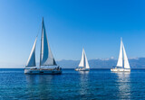 Fototapeta  - sailing yacht boats with white sails in blue sea , seascape of beautiful ships in sea gulf with mountain coast on background