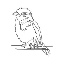 Sparrow Vector Illustration Drawn In Line Art Style