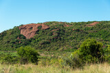 Fototapeta Sawanna - Parc national du Pilanesberg, Afrique du Sud