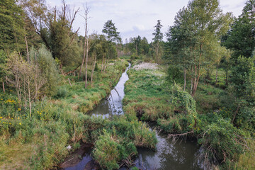 Canvas Print - Pisia river near Radziejowice town, Zyrardow County, Poland