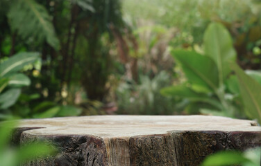 empty table top wood counter podium in outdoor tropical garden forest blurred green plant background with space.product present natural placement pedestal promotion display,spring and summer concept.	