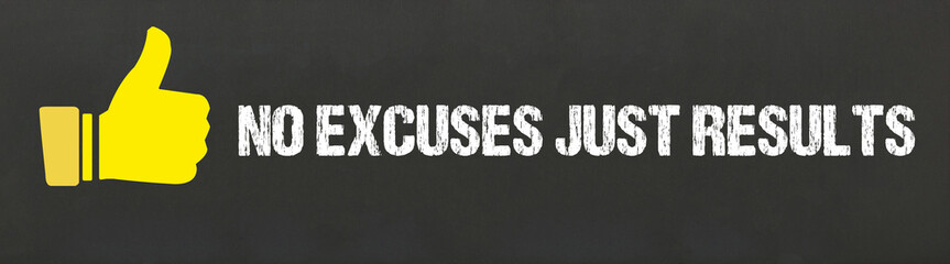 Wall Mural - No excuses just results	
