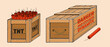 Dynamite set vector illustration. Box with ready explosives cartridge collection isolated