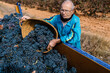 © Ezequiel Giménez/Stocksy - Senior farmer pouring grapes into tractor trailer