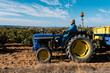 © Ezequiel Giménez/Stocksy - Senior farmer driving tractor in rural field