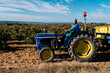 © Ezequiel Giménez/Stocksy - Male farmer driving tractor in field