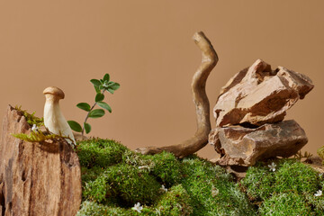 Composition of bark tree and moss on pastel background