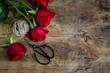 © Cavan Images - red roses twine scissors on wood table
