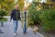 an adult couple walks with dogs