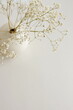 © irenastar - Flowers in a vase .Dried white gypsophila flowers  bouquet on a vase selective focus top view on beige table . Copy space. Modern interiour decor.
