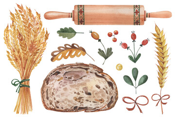 Set of watercolor baking elements - bread, spikelet, rolling pin and folk botanical elements isolated on white.