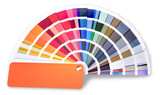 Fototapeta Kosmos - color palette guide