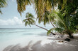 palmentraum mit Meer auf den Malediven 