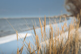 Fototapeta Krajobraz - Frosty winter morning at Baltic sea shore in Riga. Beautiful landscape of seaside covered in snow and ice.