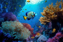 Sháb Mhmud's Thriving Reef Ecosystem. Generative AI