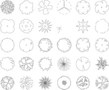Collection Of Minimalistic Black And White Tree Illustration Vector Sketch Designs Viewed From Above