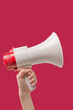 © Nikolay - Megaphone in woman hands on a viva magenta background.
