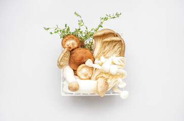 Wall Mural - Basket with fresh mushrooms and thyme on light background