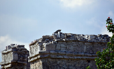 Wall Mural - The Mayan citadel of Tulum on Caribbean Sea 48